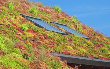 Ravenseat living roof systems
