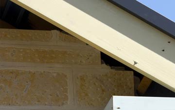soffit repair Ravenseat