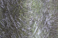 Ravenseat fibreglass roof work