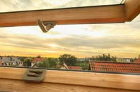 rated Ravenseat roof window companies